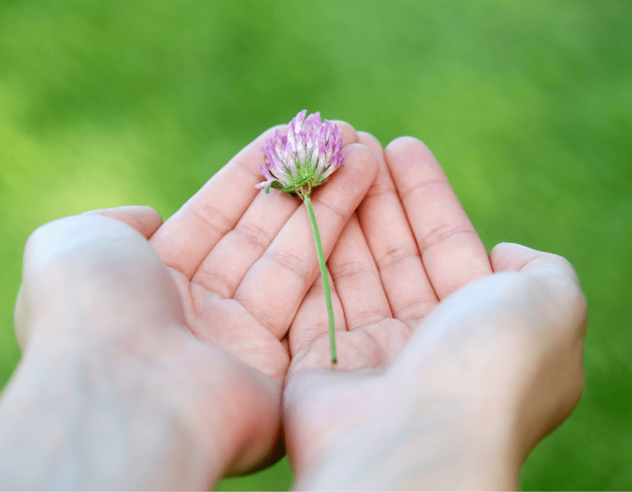 Power of Attorney Protects You from Adult Guardianship