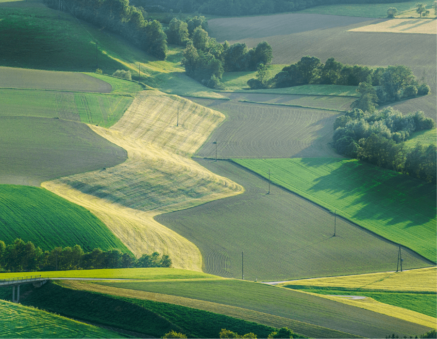 Why Is Estate Planning Important?