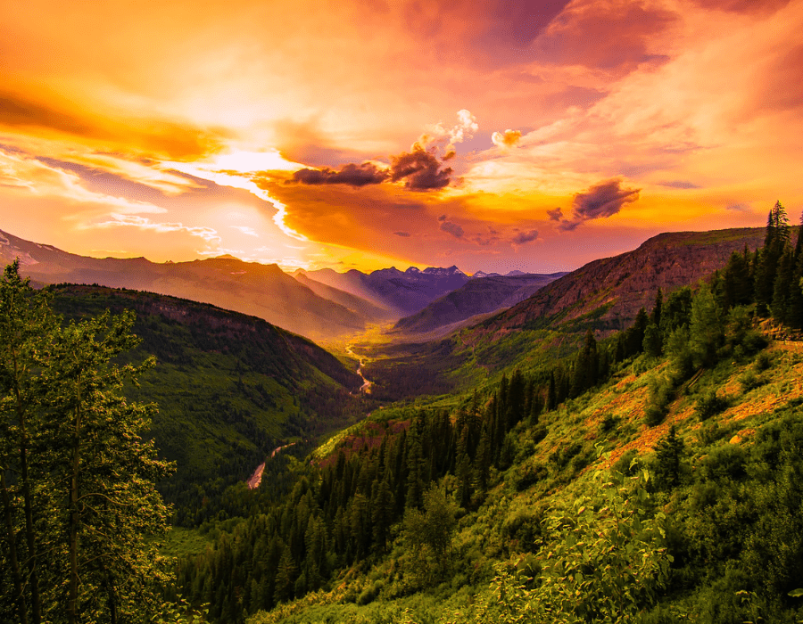 Should I Have a Revocable Living Trust?