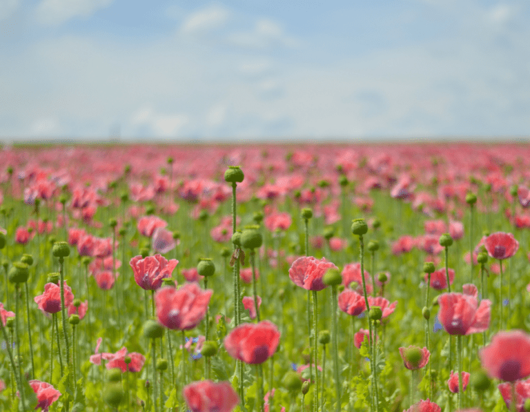 What’s the Best Way to Get Estate Planning Started
