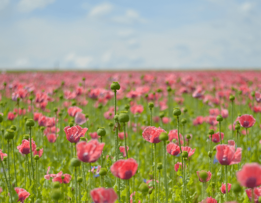 What’s the Best Way to Get Estate Planning Started