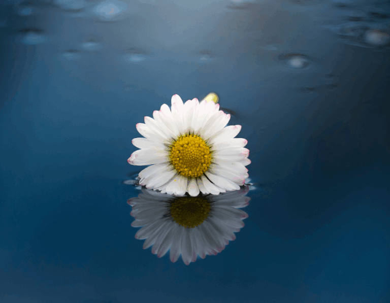 Grief Can Have Impact on Work Life