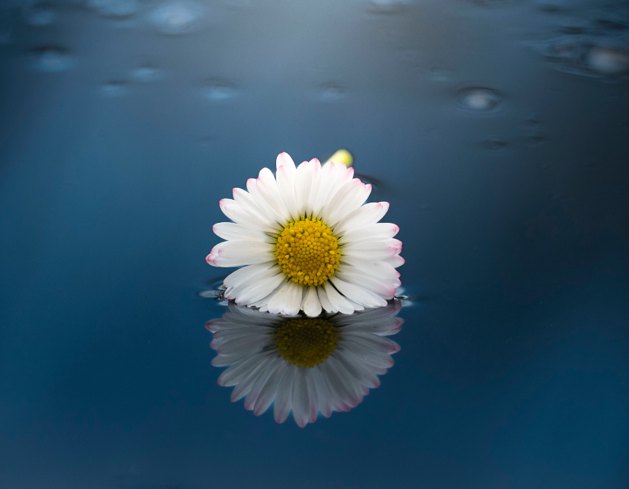 Grief Can Have Impact on Work Life