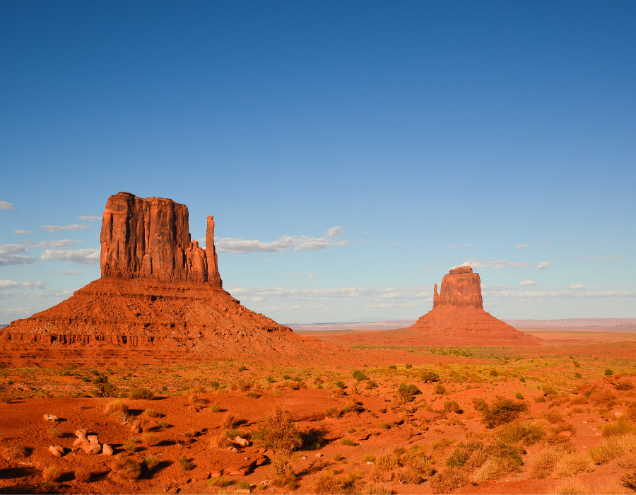 Create a Succession Plan to Keep Family and Business Together