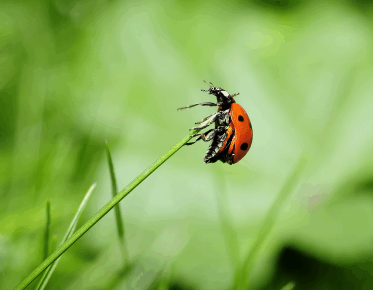 Here’s Why Everyone Should Have a Will