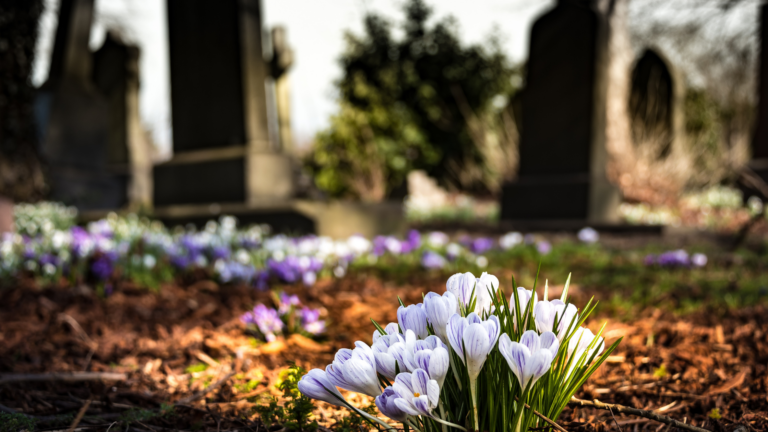 What Happens Financially when a Spouse Dies?